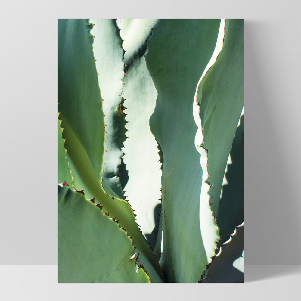 Agave Study I - Art Print, Poster, Stretched Canvas, or Framed Wall Art Print, shown as a stretched canvas or poster without a frame