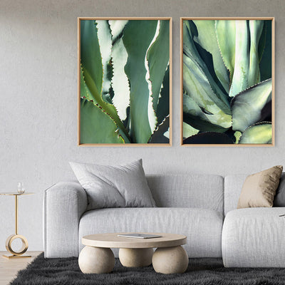 Agave Study I - Art Print, Poster, Stretched Canvas or Framed Wall Art, shown framed in a home interior space