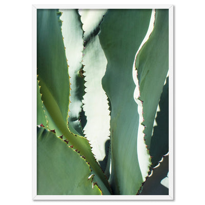 Agave Study I - Art Print, Poster, Stretched Canvas, or Framed Wall Art Print, shown in a white frame
