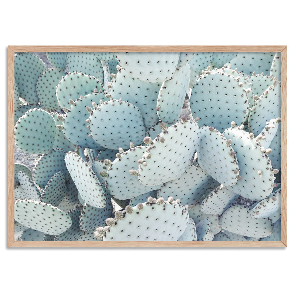 Prickly Pear / Beavertail Cactus in Pastel - Art Print, Poster, Stretched Canvas, or Framed Wall Art Print, shown in a natural timber frame