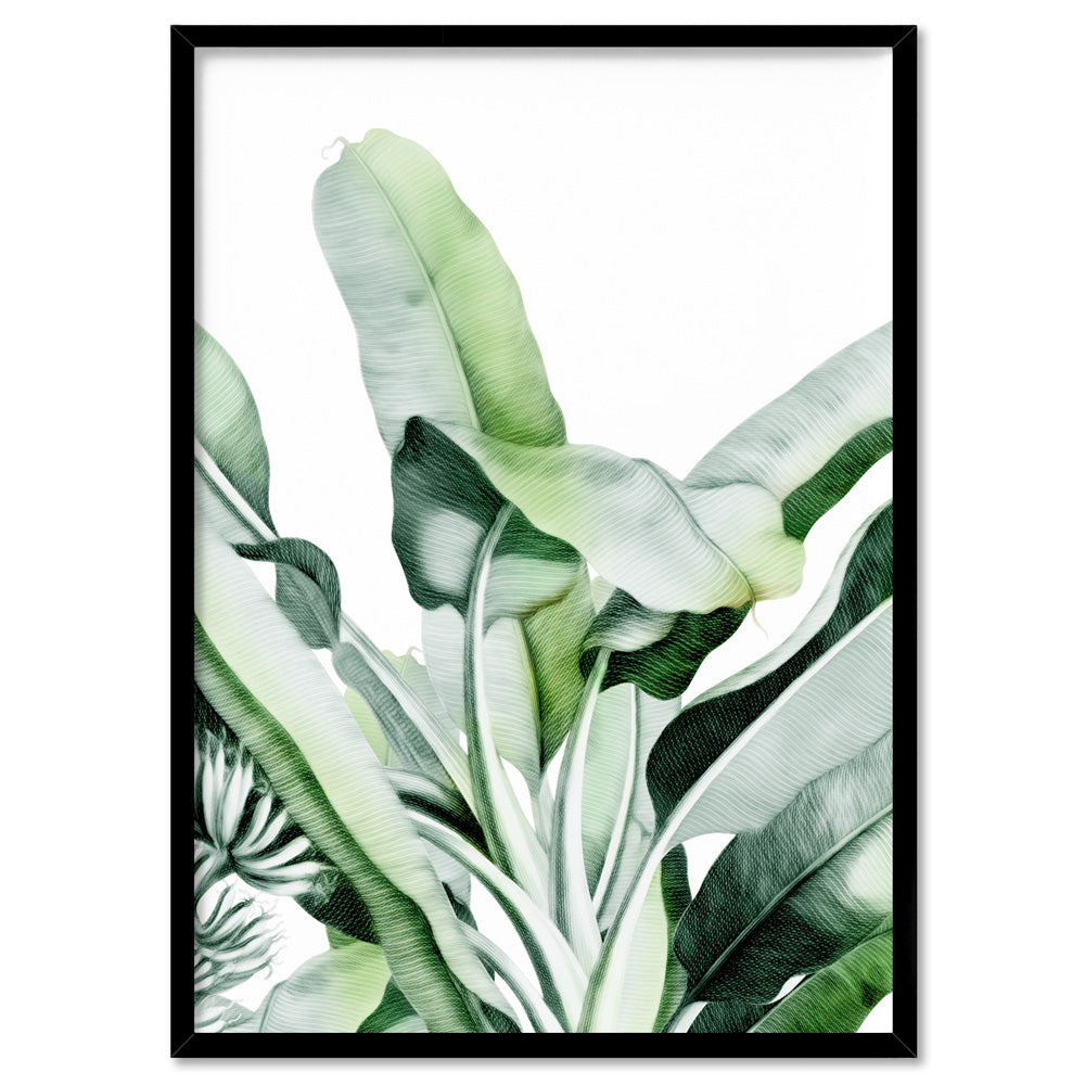 Tropical Sketched Banana Palm Leaves & Foliage - Art Print, Poster, Stretched Canvas, or Framed Wall Art Print, shown in a black frame