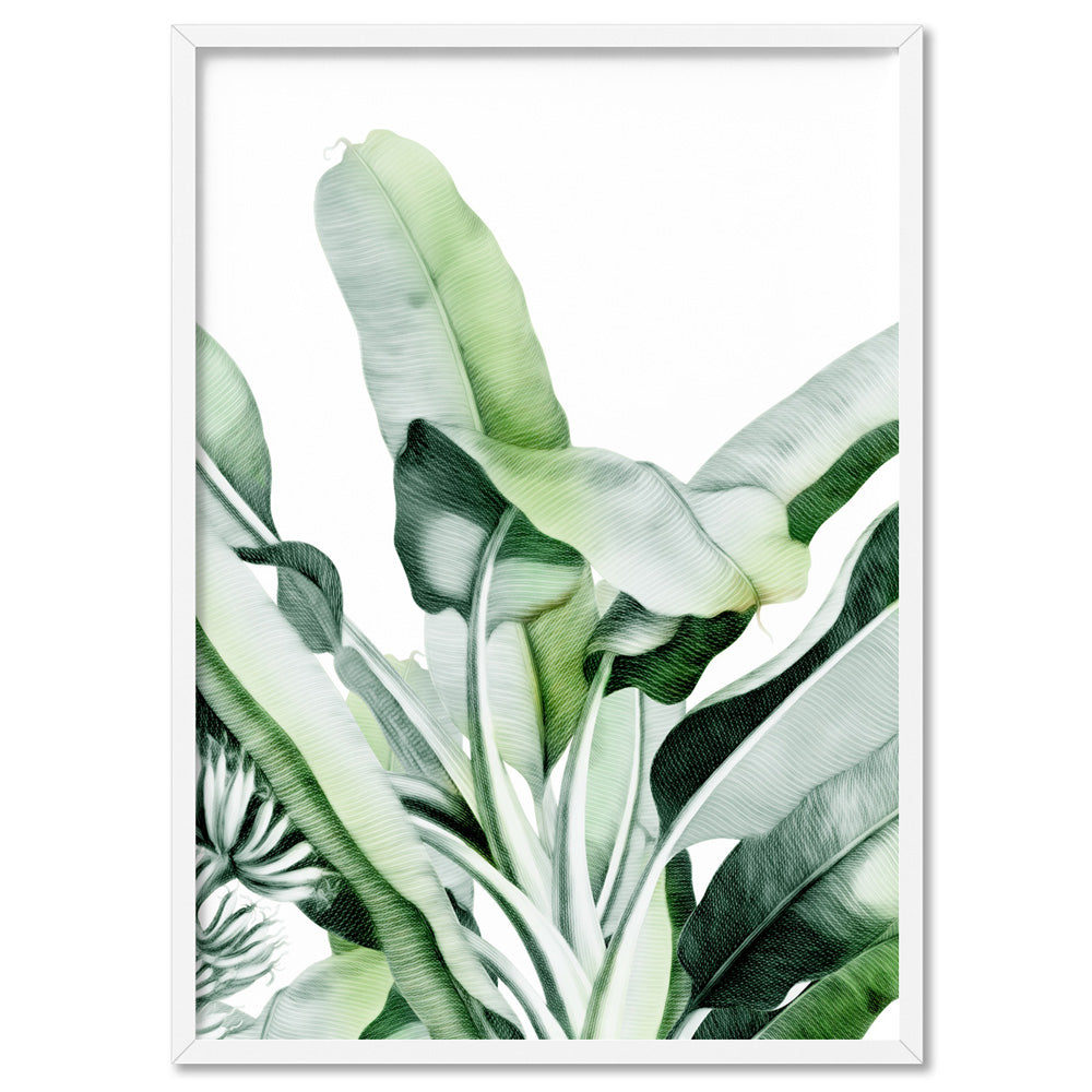 Tropical Sketched Banana Palm Leaves & Foliage - Art Print, Poster, Stretched Canvas, or Framed Wall Art Print, shown in a white frame