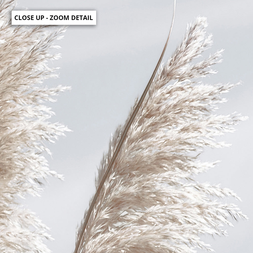 Pampas Grass II in Pastels - Art Print, Poster, Stretched Canvas or Framed Wall Art, Close up View of Print Resolution