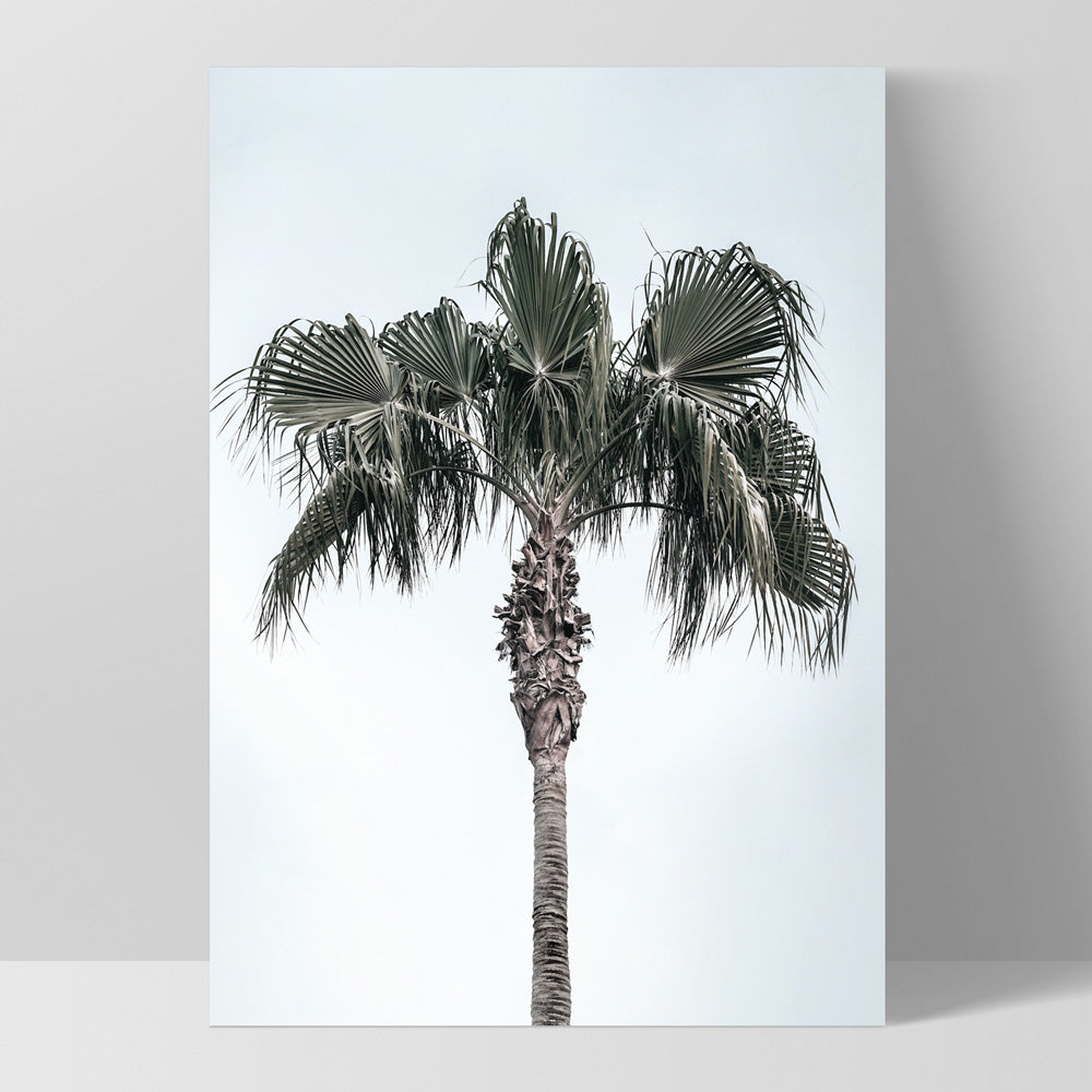 California Coastal Palm Tree Portrait - Art Print, Poster, Stretched Canvas, or Framed Wall Art Print, shown as a stretched canvas or poster without a frame