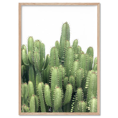 Cactus Towers / African Milk Tree - Art Print, Poster, Stretched Canvas, or Framed Wall Art Print, shown in a natural timber frame