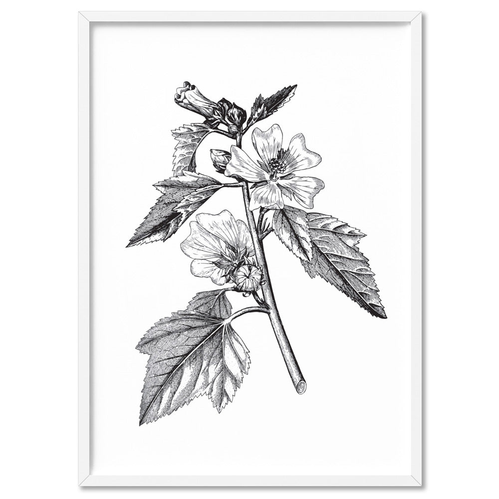 Botanical Floral Illustration II - Art Print, Poster, Stretched Canvas, or Framed Wall Art Print, shown in a white frame