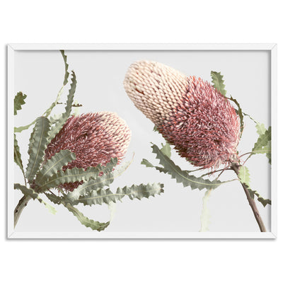 Blushing Banksia Duo Landscape - Art Print, Poster, Stretched Canvas, or Framed Wall Art Print, shown in a white frame