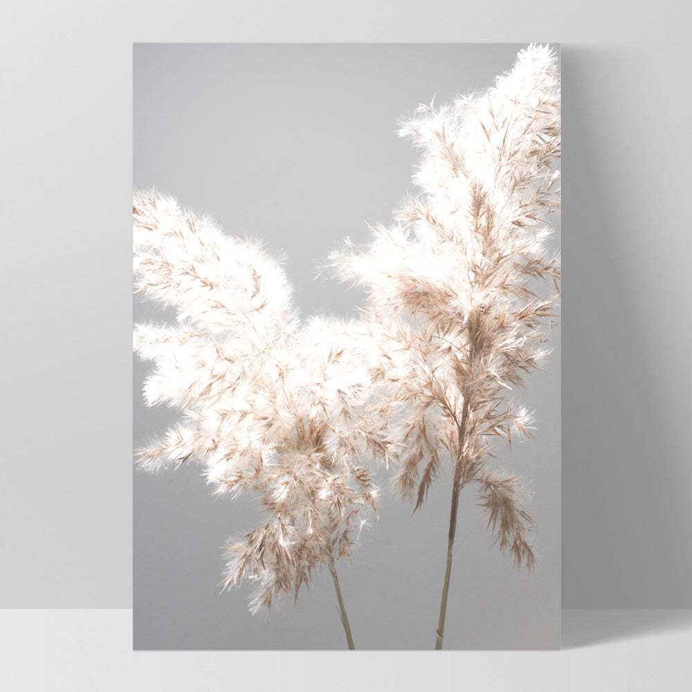 Pampas Grass Ethereal Light I - Art Print, Poster, Stretched Canvas, or Framed Wall Art Print, shown as a stretched canvas or poster without a frame