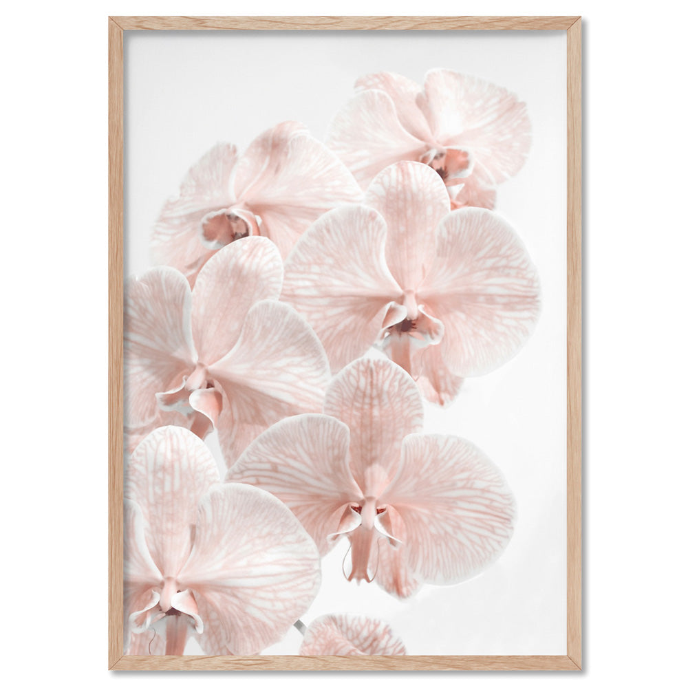 Blushing Orchid Blooms I - Art Print, Poster, Stretched Canvas, or Framed Wall Art Print, shown in a natural timber frame