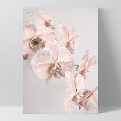 Blushing Orchid Blooms II - Art Print, Poster, Stretched Canvas, or Framed Wall Art Print, shown as a stretched canvas or poster without a frame