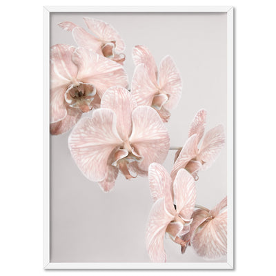 Blushing Orchid Blooms II - Art Print, Poster, Stretched Canvas, or Framed Wall Art Print, shown in a white frame