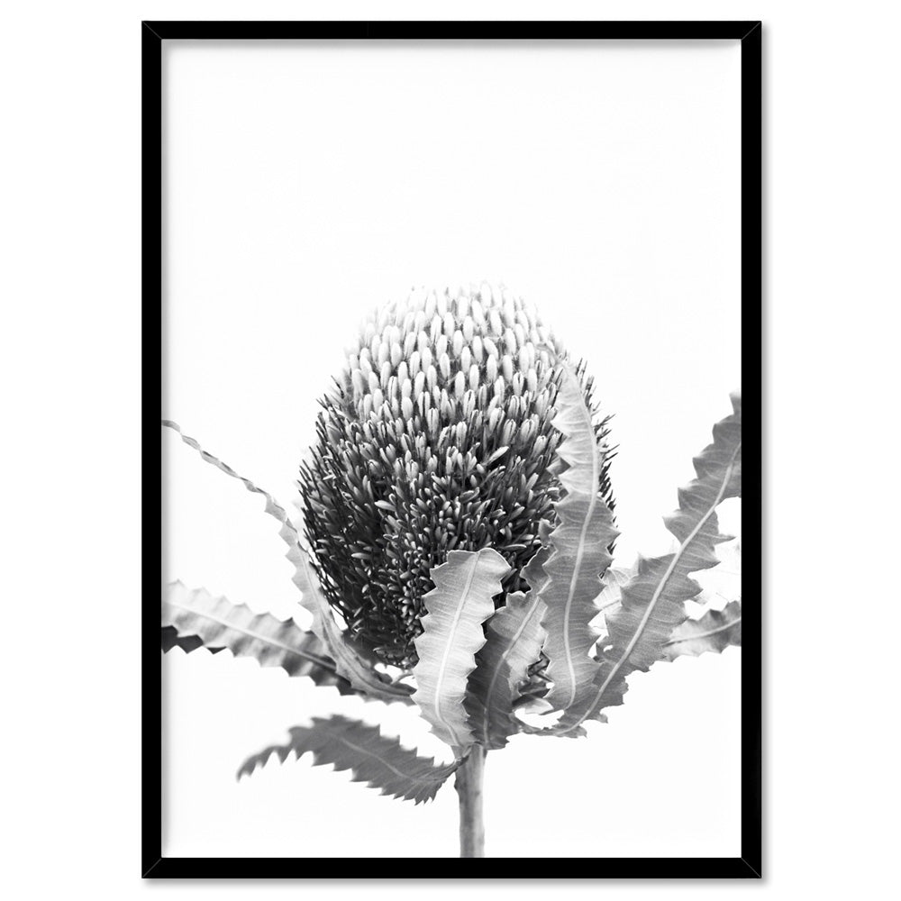 Banksia Flower Black and White - Art Print, Poster, Stretched Canvas, or Framed Wall Art Print, shown in a black frame