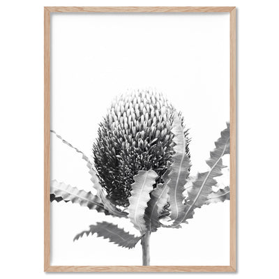 Banksia Flower Black and White - Art Print, Poster, Stretched Canvas, or Framed Wall Art Print, shown in a natural timber frame