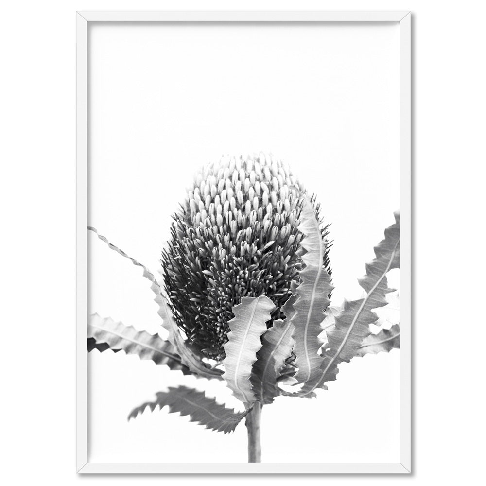 Banksia Flower Black and White - Art Print, Poster, Stretched Canvas, or Framed Wall Art Print, shown in a white frame