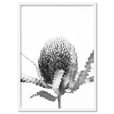 Banksia Flower Black and White - Art Print, Poster, Stretched Canvas, or Framed Wall Art Print, shown in a white frame