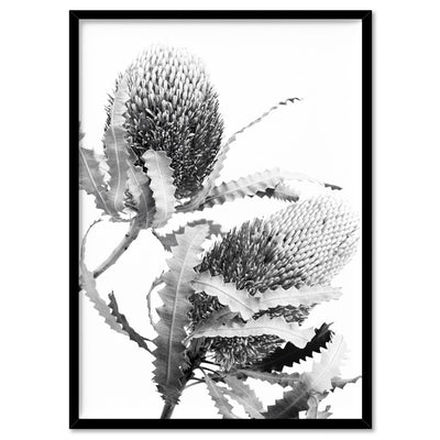Banksia Flower Duo Black and White - Art Print, Poster, Stretched Canvas, or Framed Wall Art Print, shown in a black frame