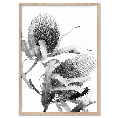 Banksia Flower Duo Black and White - Art Print, Poster, Stretched Canvas, or Framed Wall Art Print, shown in a natural timber frame