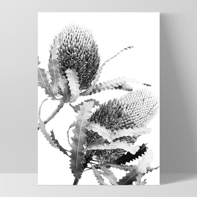 Banksia Flower Duo Black and White - Art Print, Poster, Stretched Canvas, or Framed Wall Art Print, shown as a stretched canvas or poster without a frame