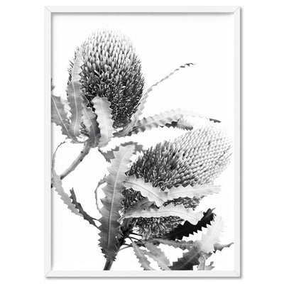 Banksia Flower Duo Black and White - Art Print, Poster, Stretched Canvas, or Framed Wall Art Print, shown in a white frame
