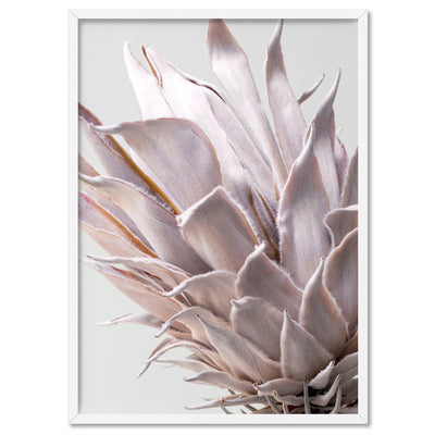 King Protea Close up in Blush - Art Print, Poster, Stretched Canvas, or Framed Wall Art Print, shown in a white frame