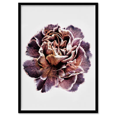Floral Pose, Close up detail of Flower - Art Print, Poster, Stretched Canvas, or Framed Wall Art Print, shown in a black frame