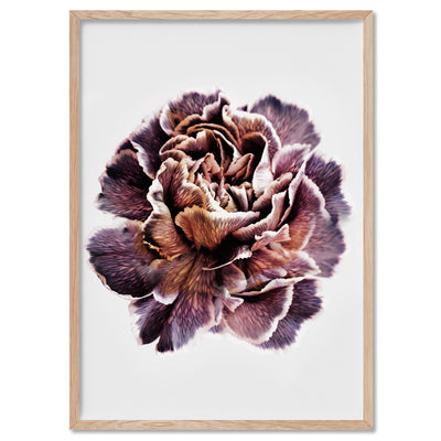 Floral Pose, Close up detail of Flower - Art Print, Poster, Stretched Canvas, or Framed Wall Art Print, shown in a natural timber frame
