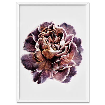 Floral Pose, Close up detail of Flower - Art Print, Poster, Stretched Canvas, or Framed Wall Art Print, shown in a white frame