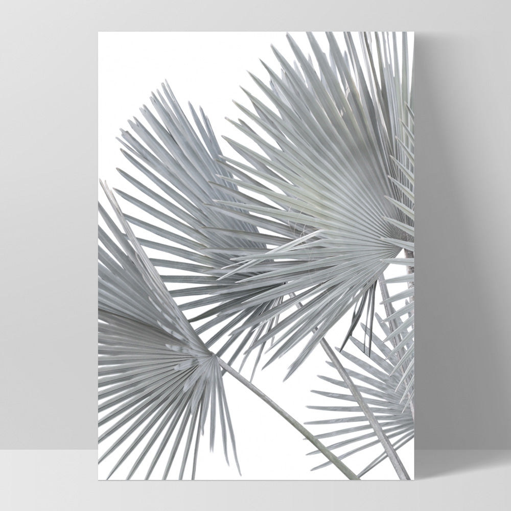 Fan Palm Fronds in Pastel I - Art Print, Poster, Stretched Canvas, or Framed Wall Art Print, shown as a stretched canvas or poster without a frame