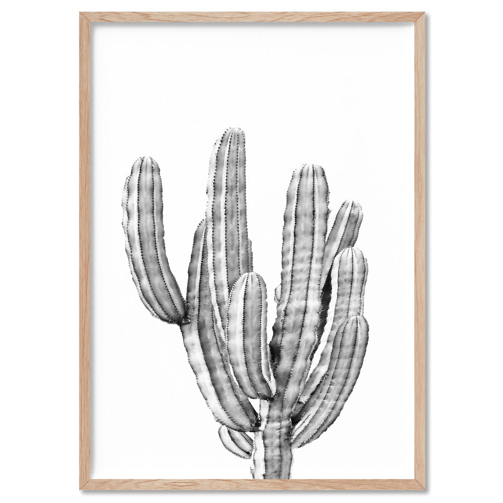Monochrome Cacti - Art Print, Poster, Stretched Canvas, or Framed Wall Art Print, shown in a natural timber frame