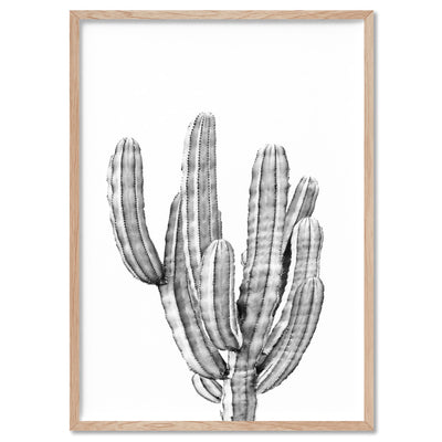 Monochrome Cacti - Art Print, Poster, Stretched Canvas, or Framed Wall Art Print, shown in a natural timber frame