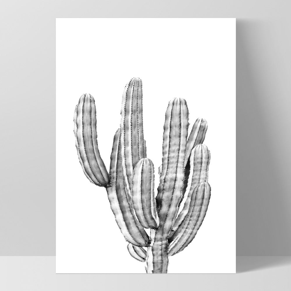 Monochrome Cacti - Art Print, Poster, Stretched Canvas, or Framed Wall Art Print, shown as a stretched canvas or poster without a frame