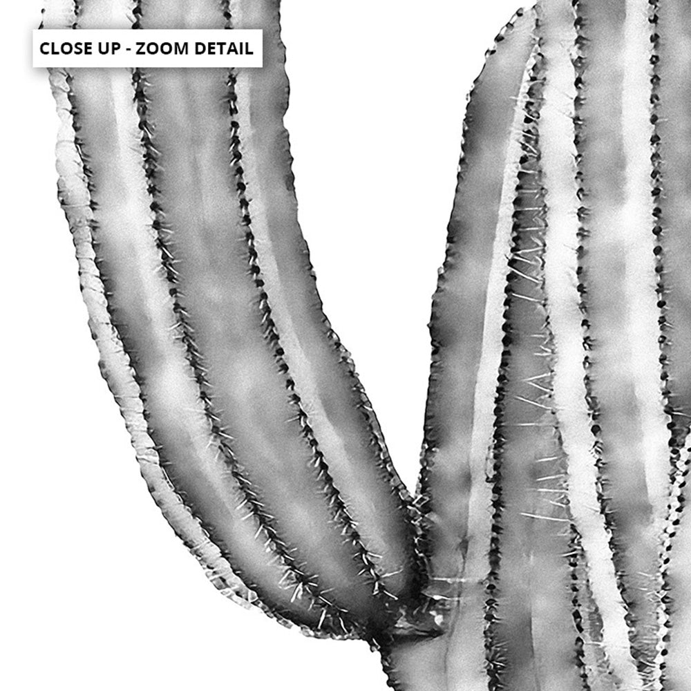 Monochrome Cacti - Art Print, Poster, Stretched Canvas or Framed Wall Art, Close up View of Print Resolution