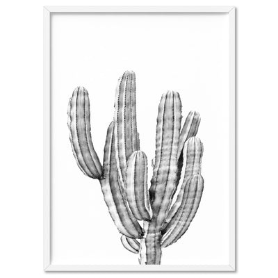 Monochrome Cacti - Art Print, Poster, Stretched Canvas, or Framed Wall Art Print, shown in a white frame