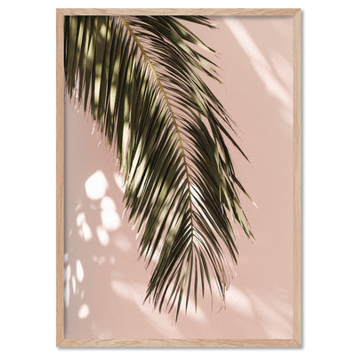 Desert Palm Frond in Afternoon Light - Art Print, Poster, Stretched Canvas, or Framed Wall Art Print, shown in a natural timber frame