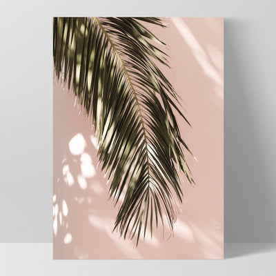 Desert Palm Frond in Afternoon Light - Art Print, Poster, Stretched Canvas, or Framed Wall Art Print, shown as a stretched canvas or poster without a frame