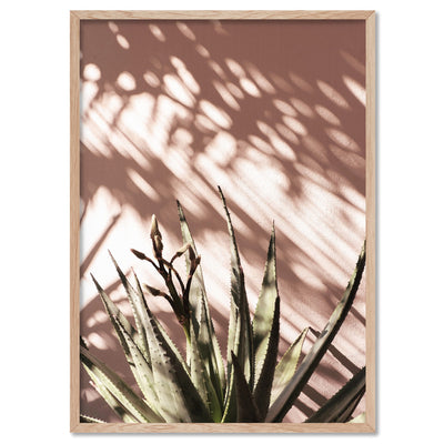 Aloe Succulent in Afternoon Light - Art Print, Poster, Stretched Canvas, or Framed Wall Art Print, shown in a natural timber frame