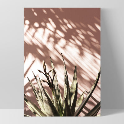 Aloe Succulent in Afternoon Light - Art Print, Poster, Stretched Canvas, or Framed Wall Art Print, shown as a stretched canvas or poster without a frame