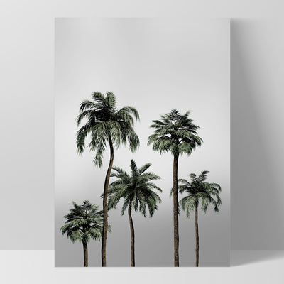 Miami Palms in Monotones - Art Print, Poster, Stretched Canvas, or Framed Wall Art Print, shown as a stretched canvas or poster without a frame