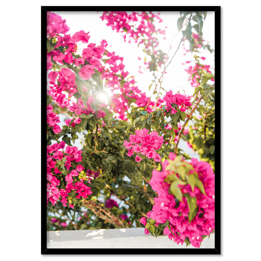 Santorini in Spring | Pink Bougainvillea Blooms - Art Print, Poster, Stretched Canvas, or Framed Wall Art Print, shown in a black frame