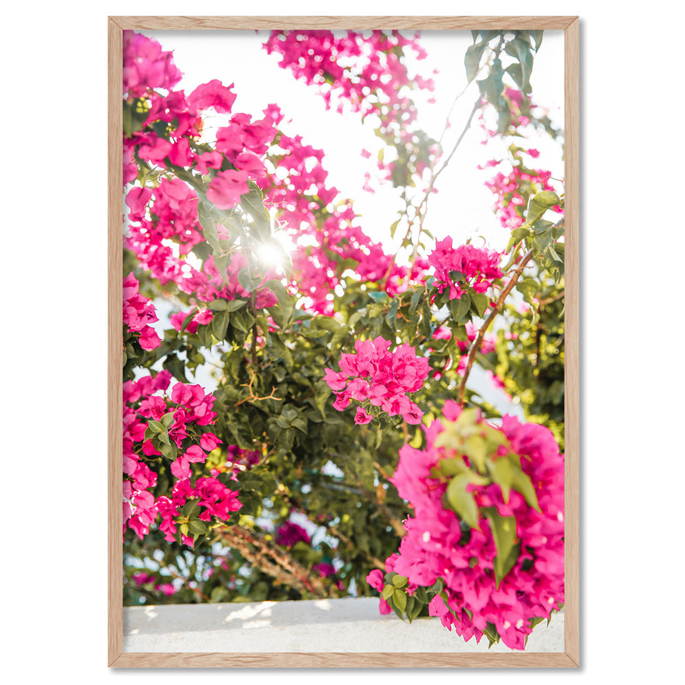 Santorini in Spring | Pink Bougainvillea Blooms - Art Print, Poster, Stretched Canvas, or Framed Wall Art Print, shown in a natural timber frame
