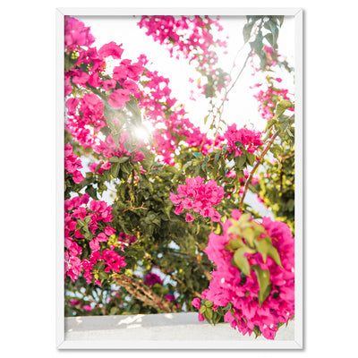 Santorini in Spring | Pink Bougainvillea Blooms - Art Print, Poster, Stretched Canvas, or Framed Wall Art Print, shown in a white frame