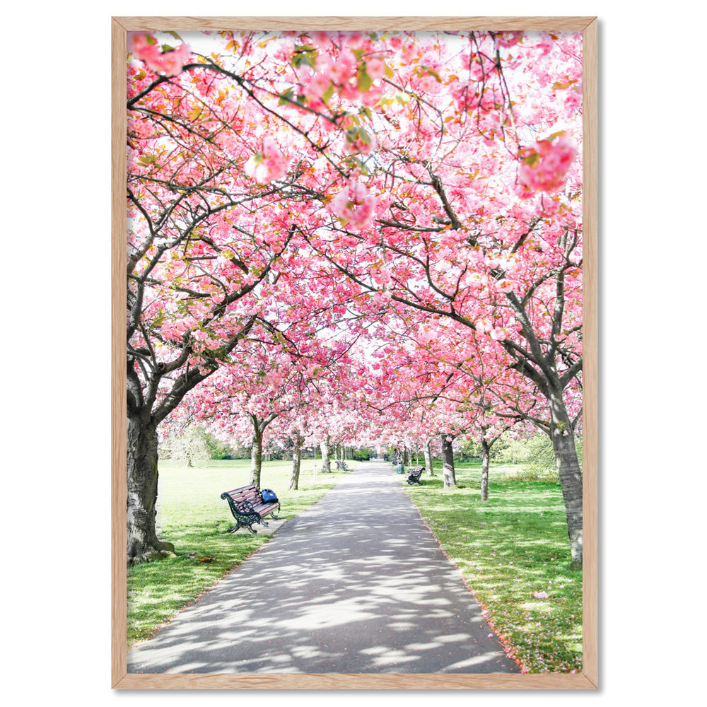 Greenwich Park in Spring - Art Print by Victoria's Stories, Poster, Stretched Canvas, or Framed Wall Art Print, shown in a natural timber frame